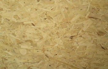 basswood01 basswood01